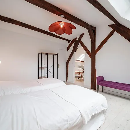 Appartement Les Mansardes : Duplex Champenois Typique Et Cosy à Ay-Champagne Extérieur photo
